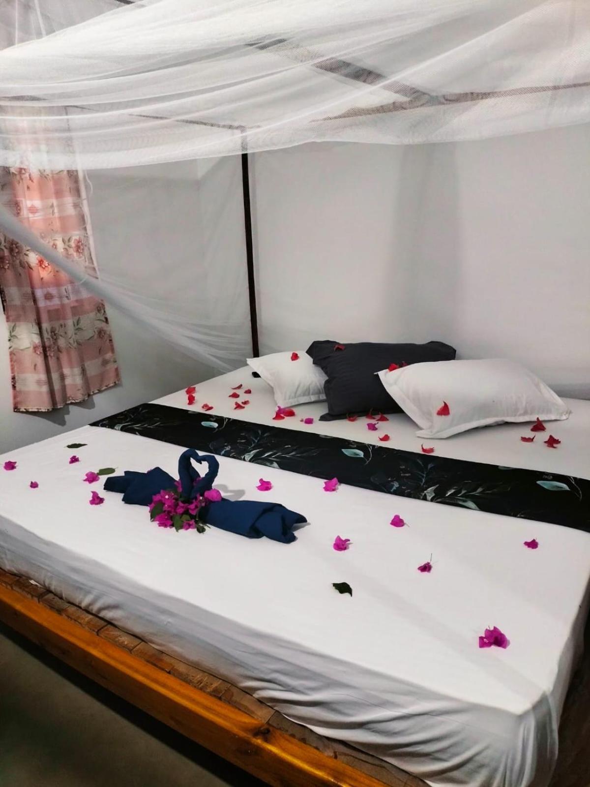 Costels Arugambay Hostel Arugam Bay Room photo